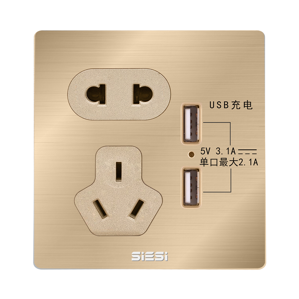 10A 二三极插座带二位USB